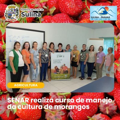 Curso de Manejo de Morango